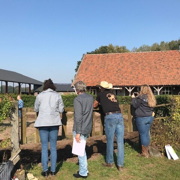 Sparerib-avond met whiskey-arrangement en demonstratie Horsemanship