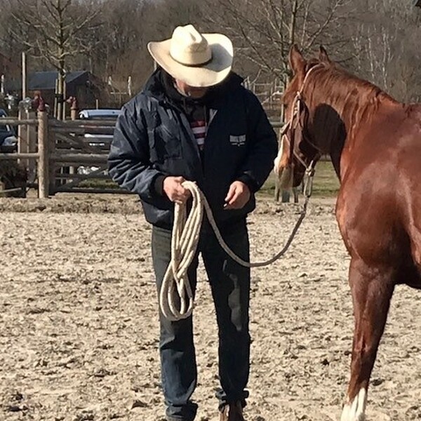 Sparerib-avond met whiskey-arrangement en demonstratie Horsemanship