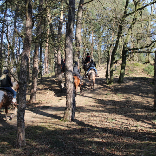 Pinktster-rit met lunch in het bos