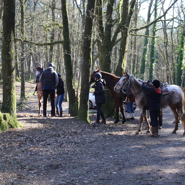 Pinktster-rit met lunch in het bos