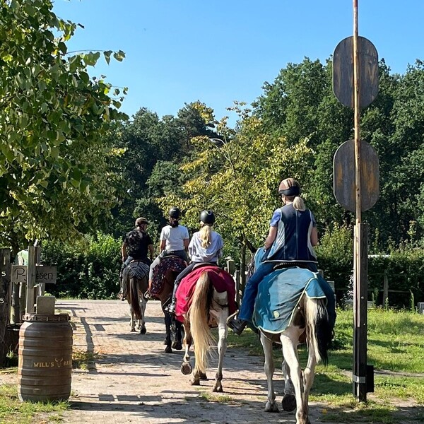 Voorjaars-buitenrit met lunch in het bos