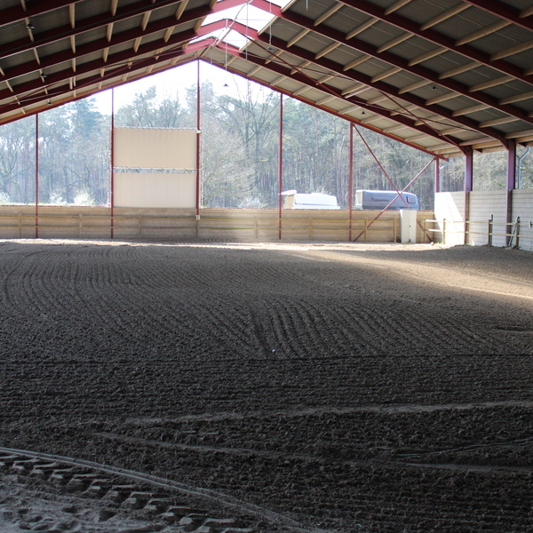 Western ranch riding clinic & lasso gooien(Roping) clinic te paard 