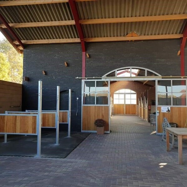 Western ranch riding clinic & lasso gooien(Roping) clinic te paard 