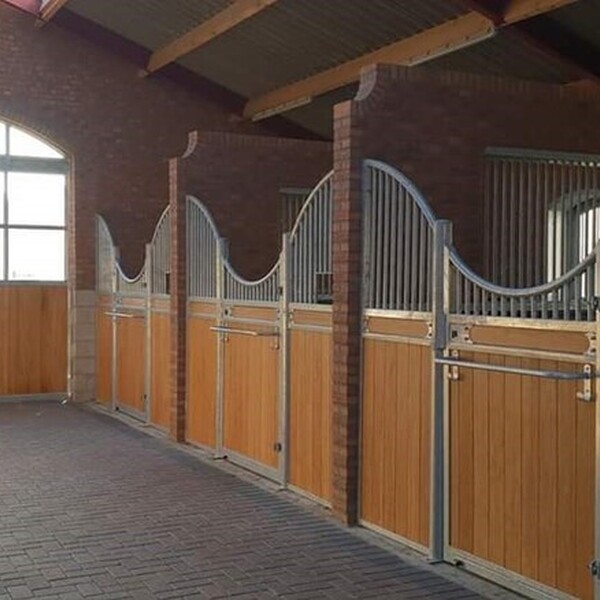 Western ranch riding clinic & lasso gooien(Roping) clinic te paard 