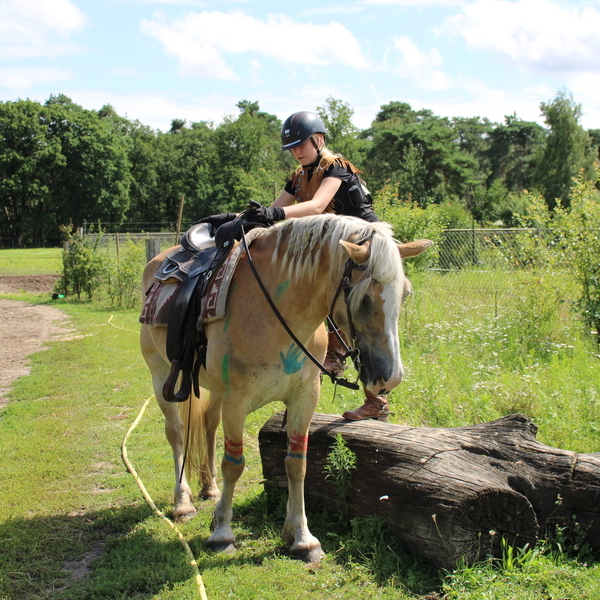 Buitenrit met lunch in het bos