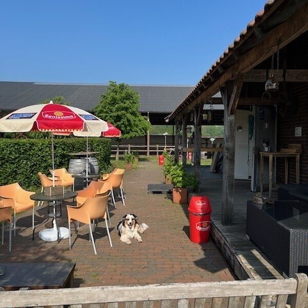 Buitenrit met lunch in het bos