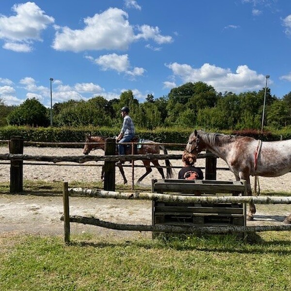 Buitenrit met lunch in het bos