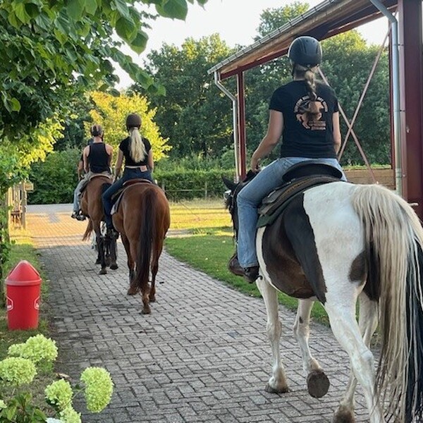 Buitenrit met lunch in het bos