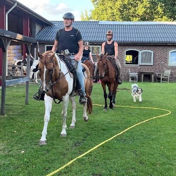 Buitenrit met lunch in het bos
