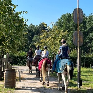 Buitenrit met lunch in het bos = VOL geboekt!