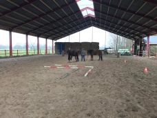 Horsemanship weekend in de herfstvakantie